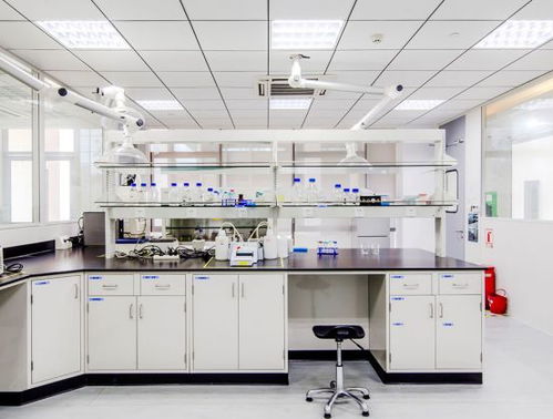 引領綠色未來 以開拓創新與專業服務，鑄就質量至上的環保咨詢新標桿